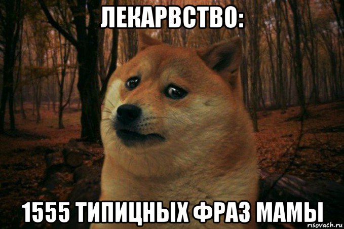 лекарвство: 1555 типицных фраз мамы, Мем SAD DOGE