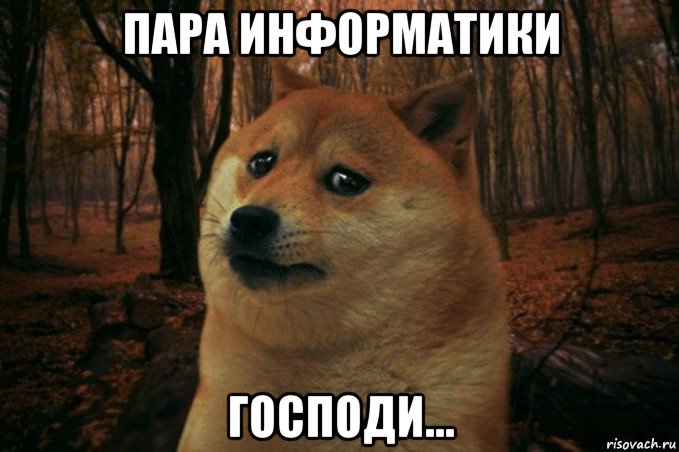 пара информатики господи..., Мем SAD DOGE