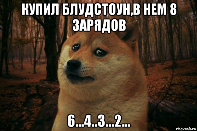 купил блудстоун,в нем 8 зарядов 6...4..3...2..., Мем SAD DOGE