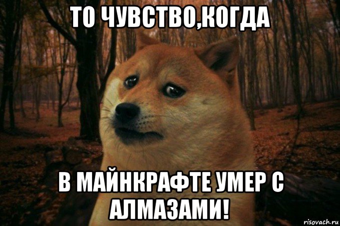 то чувство,когда в майнкрафте умер с алмазами!, Мем SAD DOGE