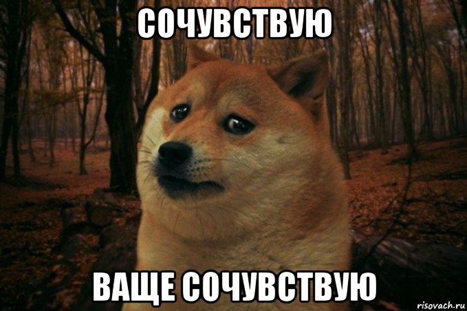 сочувствую ваще сочувствую, Мем SAD DOGE