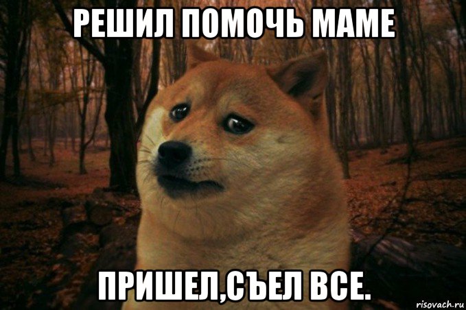 решил помочь маме пришел,съел все., Мем SAD DOGE