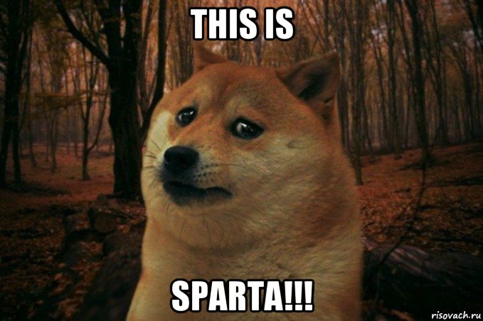 this is sparta!!!, Мем SAD DOGE