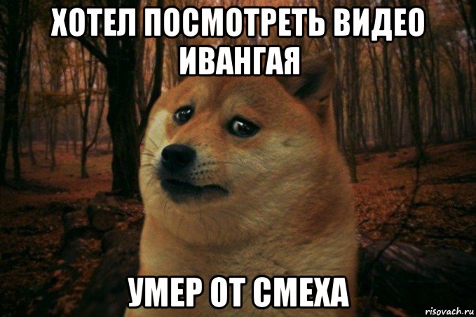 хотел посмотреть видео ивангая умер от смеха, Мем SAD DOGE