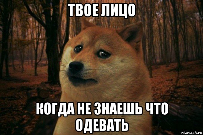 твое лицо когда не знаешь что одевать, Мем SAD DOGE