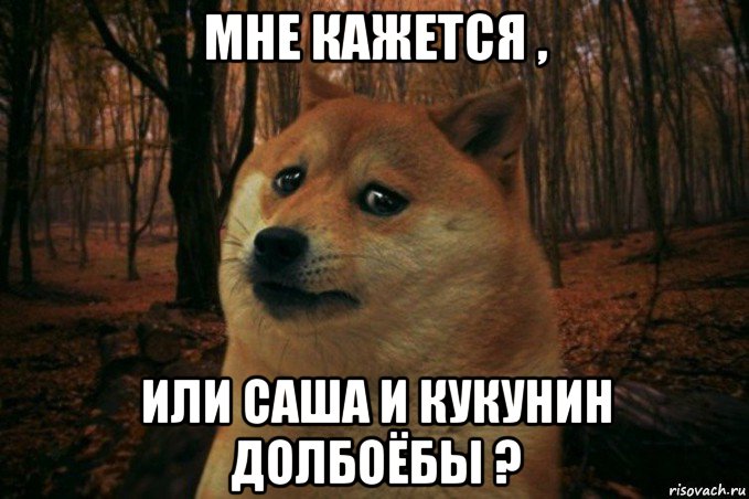 мне кажется , или саша и кукунин долбоёбы ?, Мем SAD DOGE