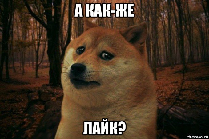 а как-же лайк?, Мем SAD DOGE