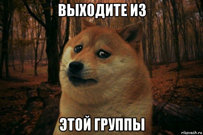 выходите из этой группы, Мем SAD DOGE