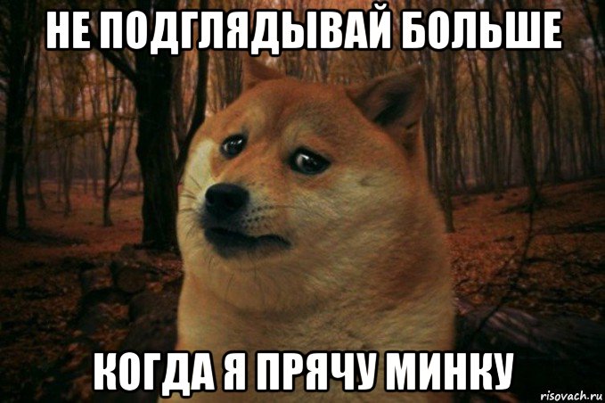 не подглядывай больше когда я прячу минку, Мем SAD DOGE