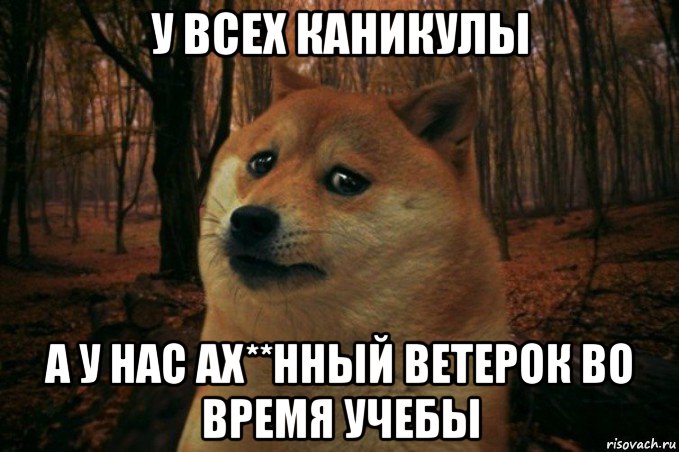 у всех каникулы а у нас ах**нный ветерок во время учебы, Мем SAD DOGE