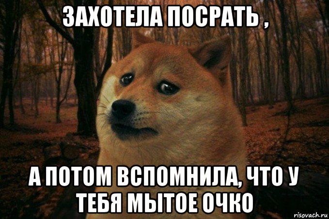 захотела посрать , а потом вспомнила, что у тебя мытое очко, Мем SAD DOGE