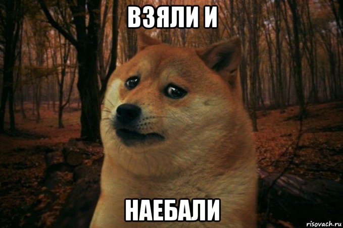 взяли и наебали, Мем SAD DOGE