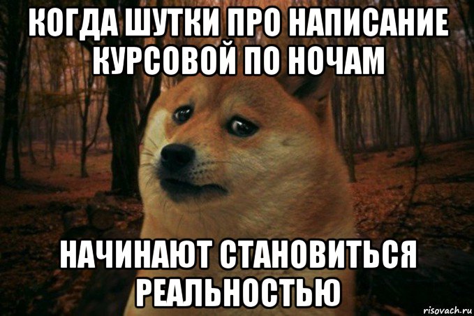 когда шутки про написание курсовой по ночам начинают становиться реальностью, Мем SAD DOGE