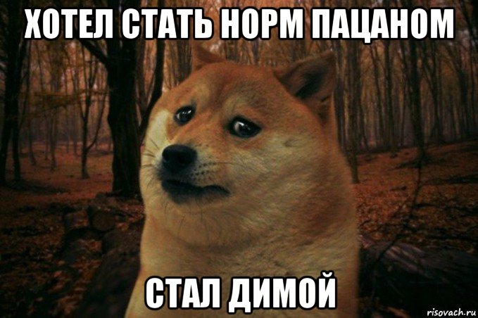 хотел стать норм пацаном стал димой, Мем SAD DOGE