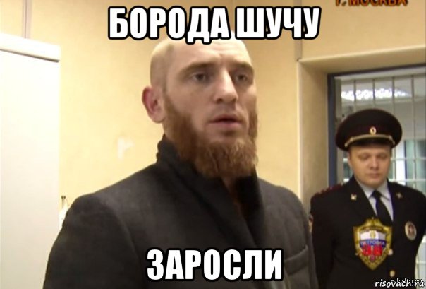 борода шучу заросли, Мем Шучу