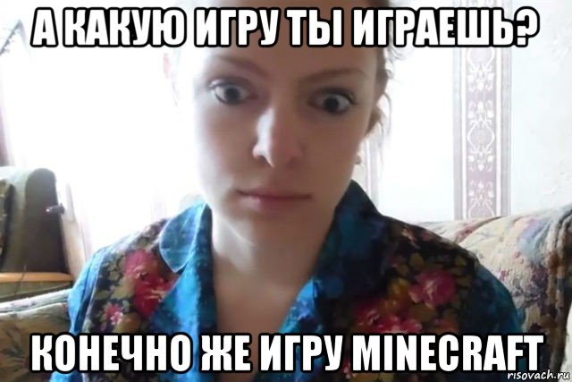 а какую игру ты играешь? конечно же игру minecraft, Мем    Скайп файлообменник