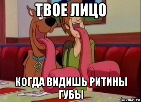 твое лицо когда видишь ритины губы