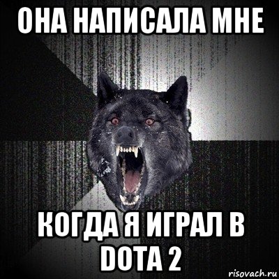 она написала мне когда я играл в dota 2, Мем Сумасшедший волк