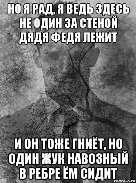 но я рад, я ведь здесь не один за стеной дядя федя лежит и он тоже гниёт, но один жук навозный в ребре ём сидит, Мем типичный человек безысходность