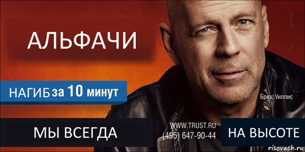 АЛЬФАЧИ НАГИБ МЫ ВСЕГДА НА ВЫСОТЕ, Комикс Trust