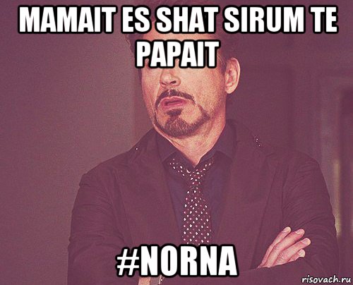 mamait es shat sirum te papait #norna, Мем твое выражение лица