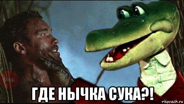  где нычка сука?!