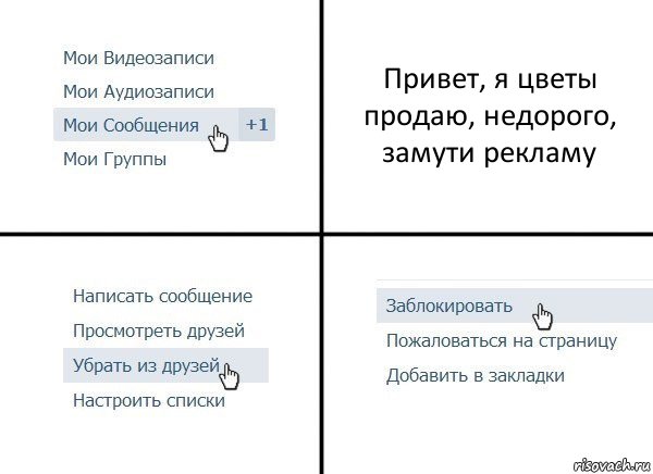 Привет, я цветы продаю, недорого, замути рекламу, Комикс  Удалить из друзей