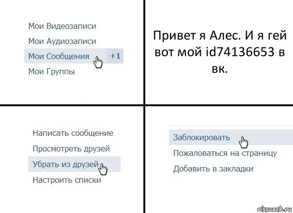 Привет я Алес. И я гей вот мой id74136653 в вк.