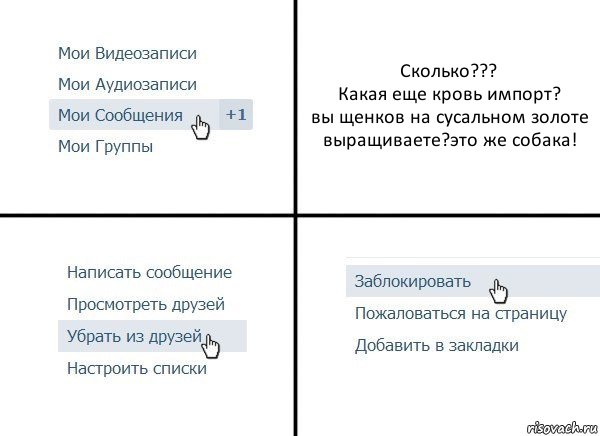 Сколько???
Какая еще кровь импорт?
вы щенков на сусальном золоте выращиваете?это же собака!, Комикс  Удалить из друзей