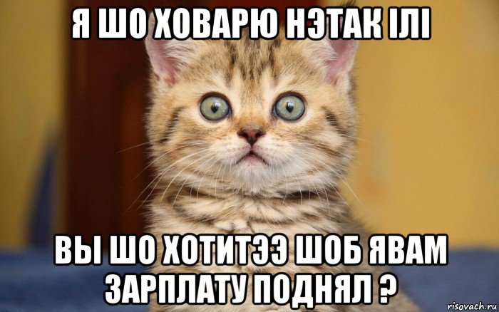 я шо ховарю нэтак iлi вы шо хотитээ шоб явам зарплату поднял ?, Мем  удивление