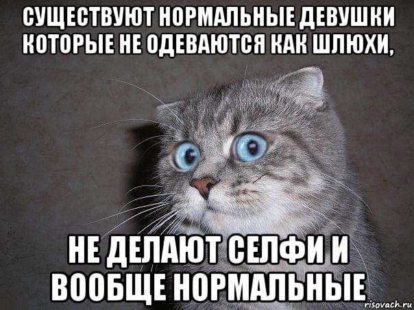 существуют нормальные девушки которые не одеваются как шлюхи, не делают селфи и вообще нормальные, Мем  удивлённый кот