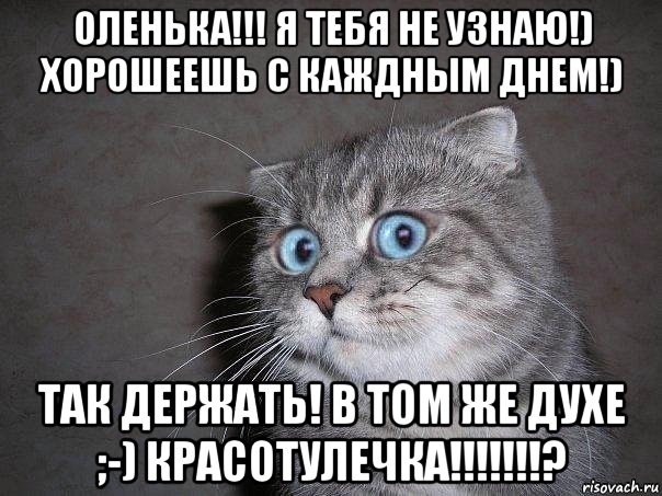 оленька!!! я тебя не узнаю!) хорошеешь с каждным днем!) так держать! в том же духе ;-) красотулечка!!!!!!!?, Мем  удивлённый кот