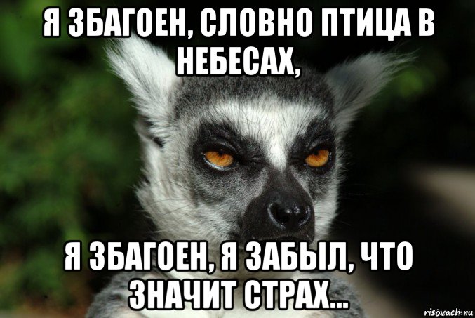 я збагоен, словно птица в небесах, я збагоен, я забыл, что значит страх...