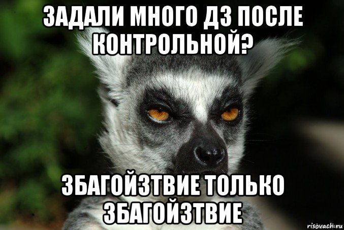 задали много дз после контрольной? збагойзтвие только збагойзтвие, Мем   Я збагоен