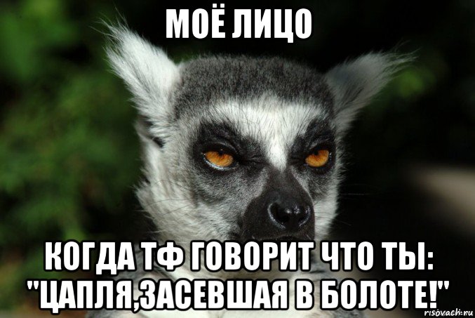 моё лицо когда тф говорит что ты: "цапля,засевшая в болоте!", Мем   Я збагоен