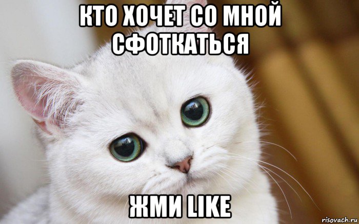 кто хочет со мной сфоткаться жми like