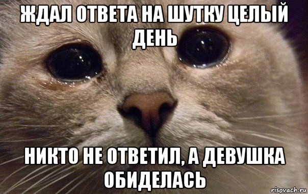 ждал ответа на шутку целый день никто не ответил, а девушка обиделась, Мем   В мире грустит один котик