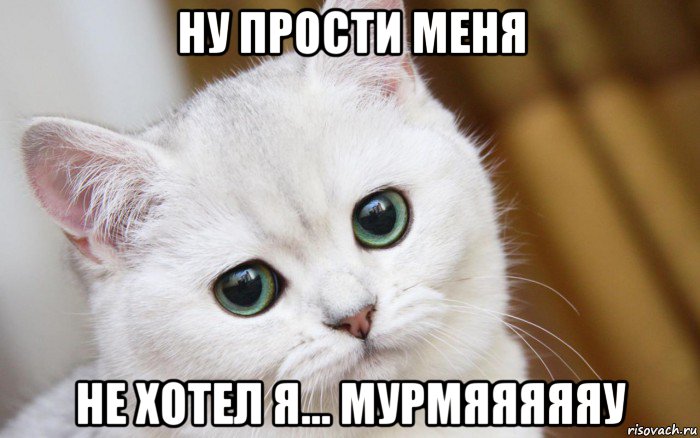 ну прости меня не хотел я... мурмяяяяяу, Мем  В мире грустит один котик