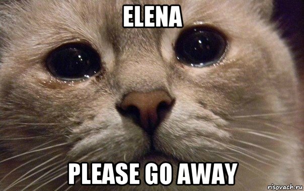 elena please go away, Мем   В мире грустит один котик