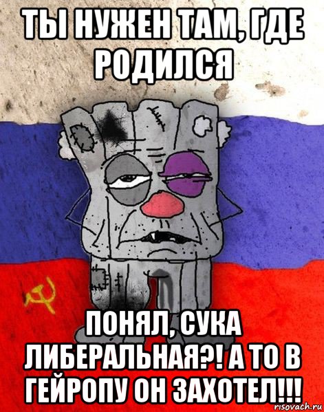 ты нужен там, где родился понял, сука либеральная?! а то в гейропу он захотел!!!, Мем Ватник