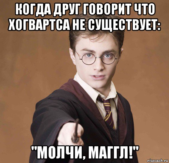 когда друг говорит что хогвартса не существует: "молчи, маггл!", Мем  Весёлый волшебник