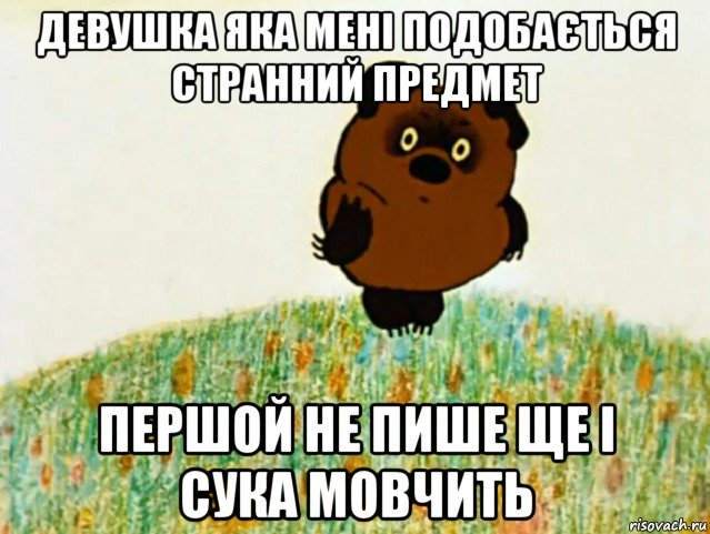 девушка яка мені подобається странний предмет першой не пише ще і сука мовчить, Мем ВИННИ ПУХ