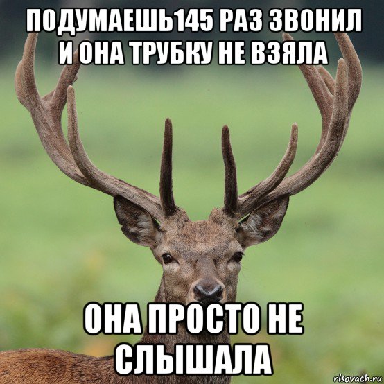 подумаешь145 раз звонил и она трубку не взяла она просто не слышала, Мем  Я олень