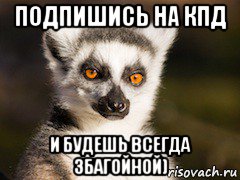 подпишись на кпд и будешь всегда збагойной), Мем Я збагоен