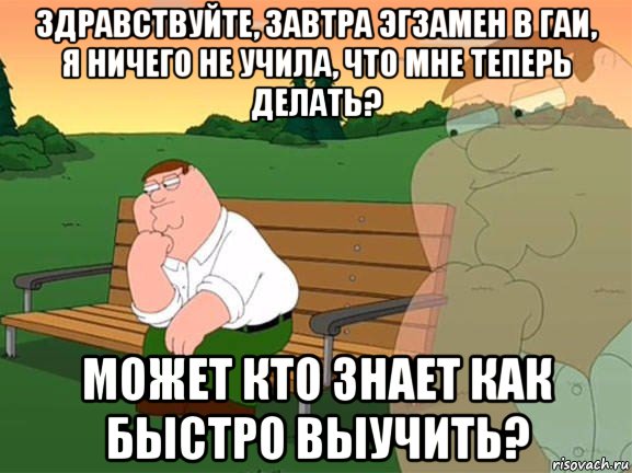 здравствуйте, завтра эгзамен в гаи, я ничего не учила, что мне теперь делать? может кто знает как быстро выучить?, Мем Задумчивый Гриффин