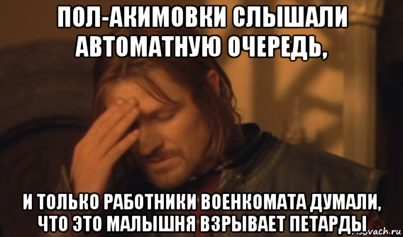 пол-акимовки слышали автоматную очередь, и только работники военкомата думали, что это малышня взрывает петарды, Мем Закрывает лицо