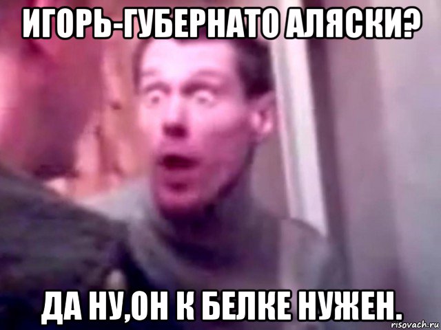 игорь-губернато аляски? да ну,он к белке нужен., Мем Запили