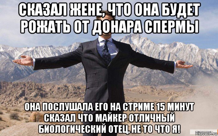 сказал жене, что она будет рожать от донара спермы она послушала его на стриме 15 минут сказал что майкер отличный биологический отец, не то что я!, Мем железный человек