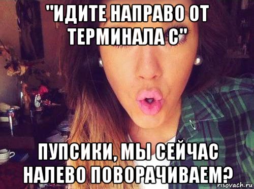 "идите направо от терминала с" пупсики, мы сейчас налево поворачиваем?, Мем женская логика