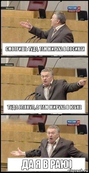 Смотришь туда, там жируха в лосинах Туда глянул, а там жируха в юбке Да я в раю), Комикс Жириновский разводит руками 3